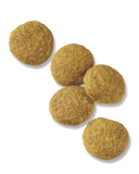 Pro Plan® Adult Large Breed Chicken & Rice Formula