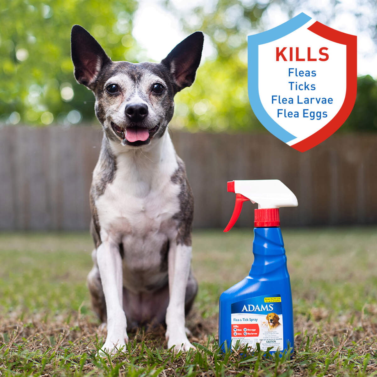 Adams Plus Flea and Tick Spray