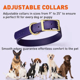 Viper Biothane Dog Collar with Brass Buckle (W 1.5" L 24"-28") Only Blue