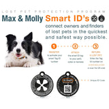 Max and Molly Dog Collar Missy Pop (Comes with QR Code) large