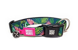 Max and Molly Dog Collar Tropical (Comes with QR Code) Small