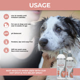 Veterinary Formula Hot Spot & Itch Relief Medicated Shampoo