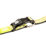 Max And Molly Dog Collar KIwi (Comes with QR Code) Large