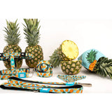 Max and Molly Dog Collar Sweet Pineapple (Comes with QR Code) Small