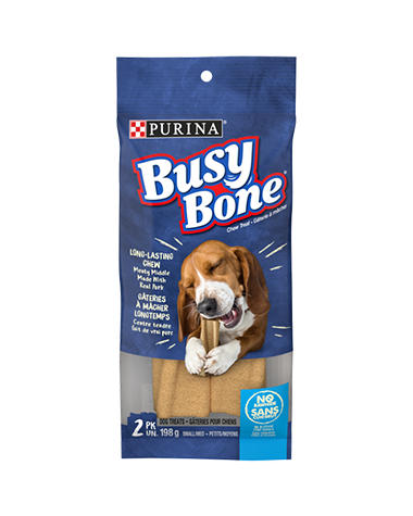 Purina Busy Bone Original Dog Treat (6) case