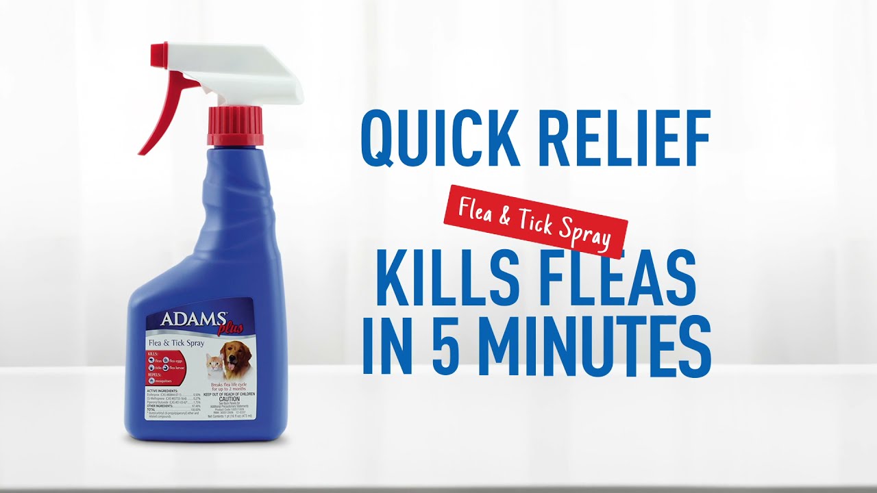 Adams Plus Flea and Tick Spray