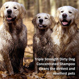 Veterinary Formula Triple Strength Dirty Dog shampoo