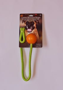 Crazy bounce rope toy