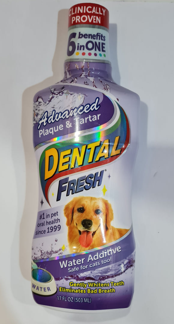 Dental Fresh