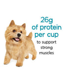 Beneful® Incredibites Small Dog Beef