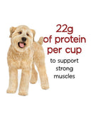 Beneful® Originals Dry Dog Food with Farm-Raised Beef