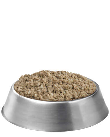 Pro Plan® Adult Sensitive Skin & Stomach Salmon & Rice Entrée Wet Dog Food (case)