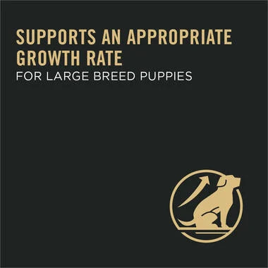 Pro Plan® Puppy Large Breed Chicken & Rice Formula