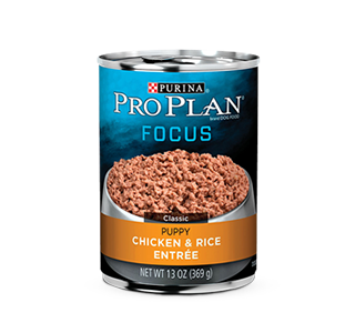 Pro Plan® Focus Puppy Chicken & Rice Entrée(case)