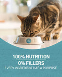 Purina ONE® Tender Selects Blend With Real Chicken Dry Cat Food