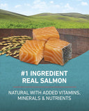 Purina ONE® Tender Selects Blend With Real Salmon 7lb